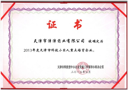 2013年度天津市科技小巨人重點培育企業