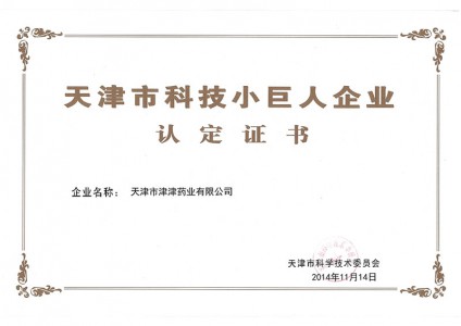 2014年天津市科技小巨人企業認定證書